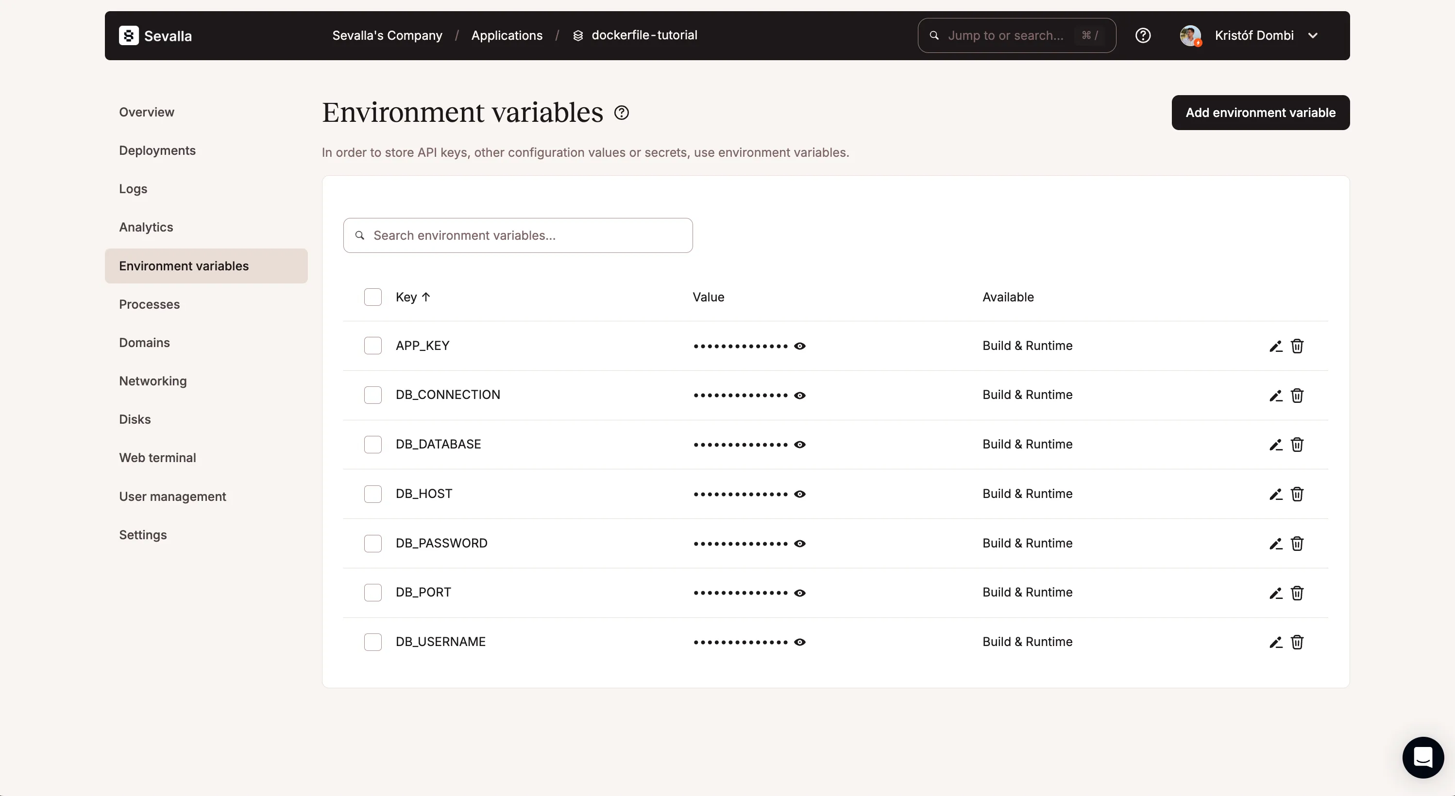 Application environment variables